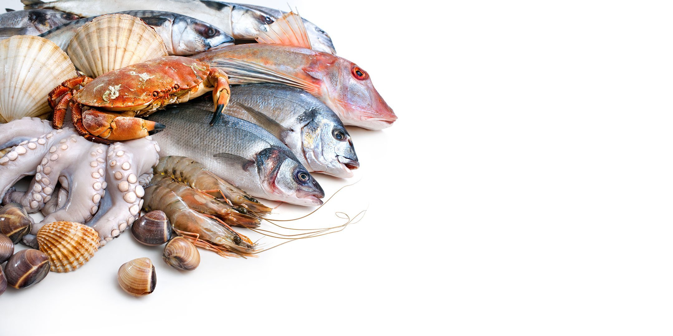 Устойчивое рыболовство и роль морепродуктов