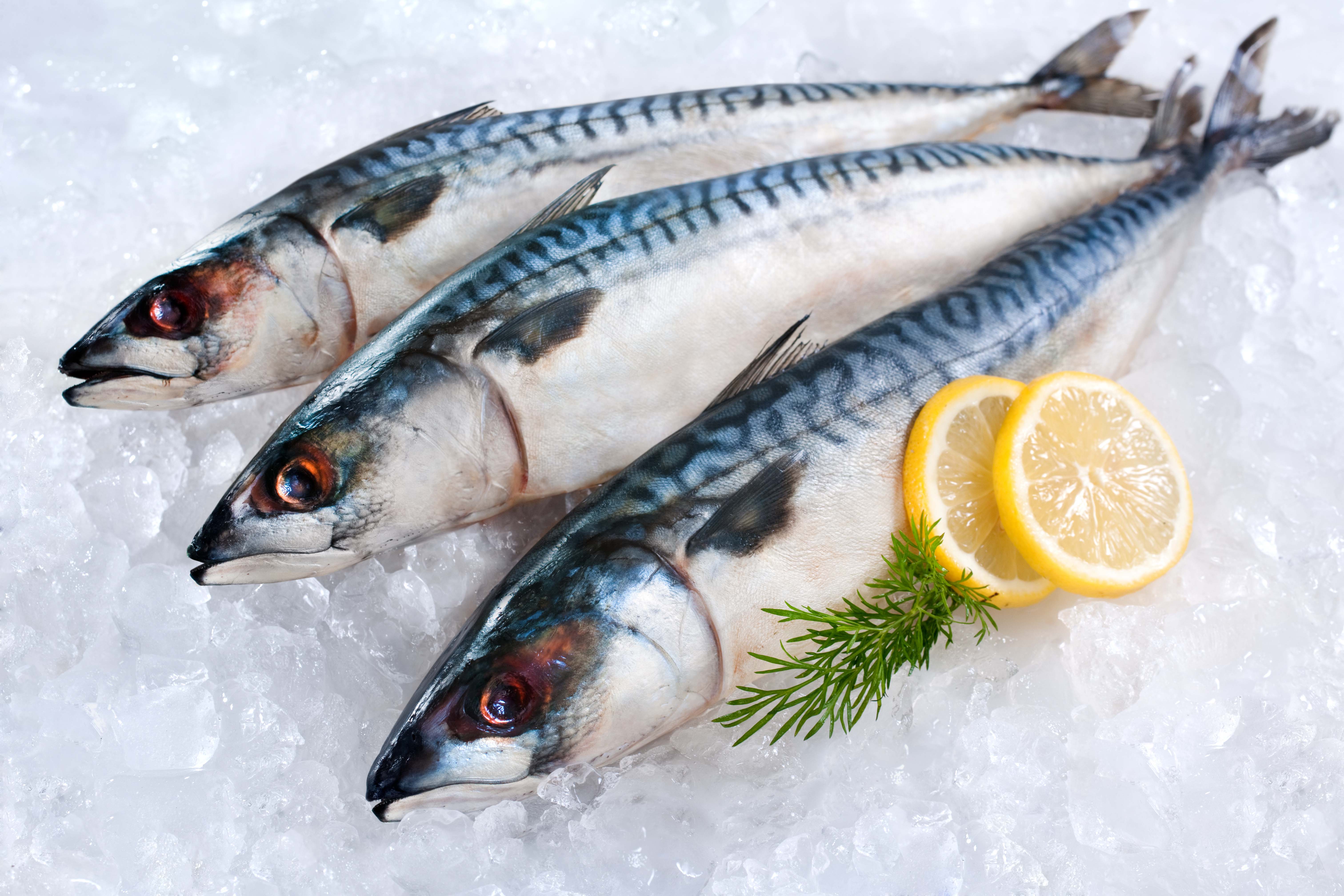 Влияние заморозки на вес рыбы и ее пищевую ценность