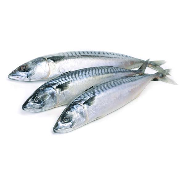 картинка Скумбрия с/м н/р 300-500 2*12,5 1/25кг от магазина Салова Фиш