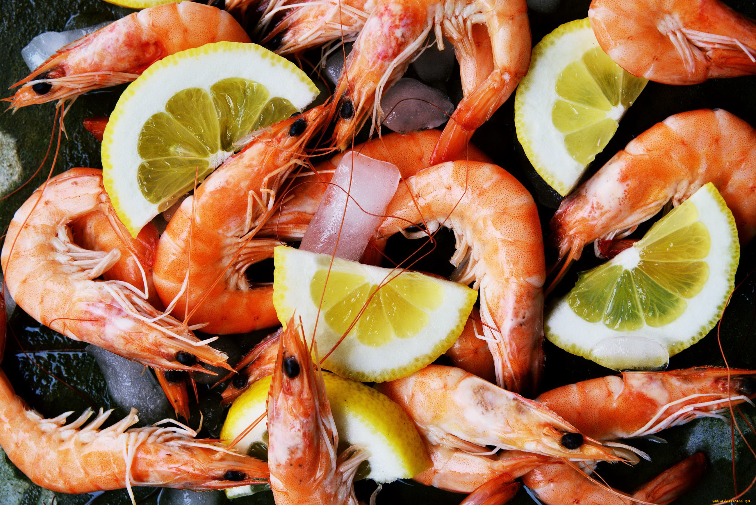  Распространенные мифы и заблуждения о морепродуктах
